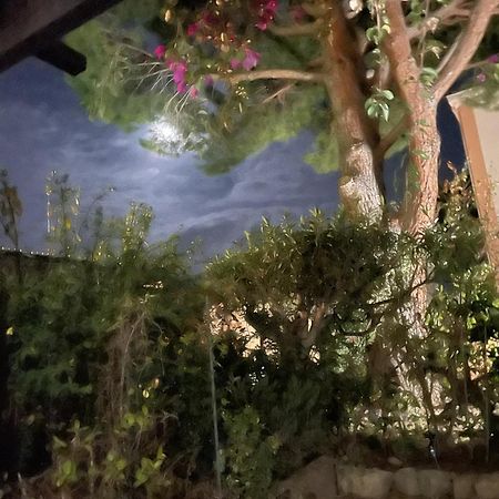 Studio Bandol Avec Jardin Eksteriør billede